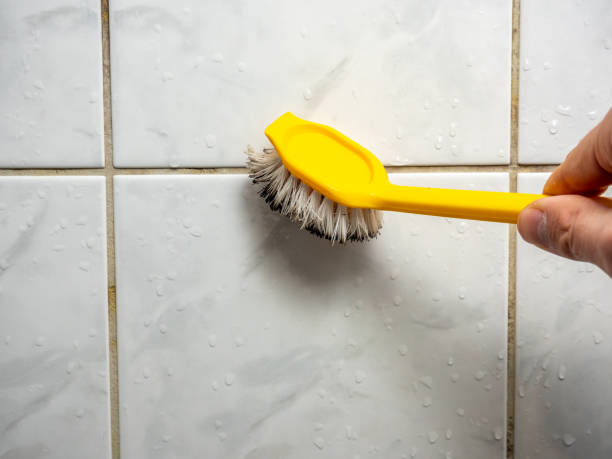 Best Mold Remediation  in Reading, MI
