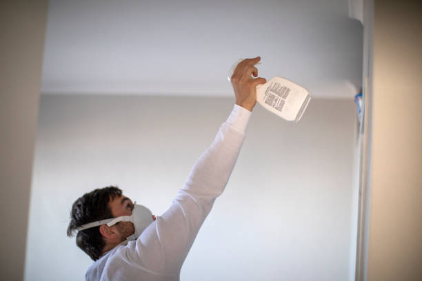 Best Office Mold Removal Services  in Reading, MI
