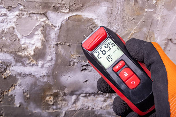 Best Mold Damage Repair  in Reading, MI